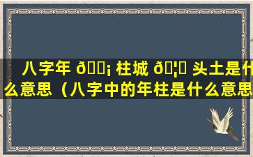 八字年 🐡 柱城 🦆 头土是什么意思（八字中的年柱是什么意思）